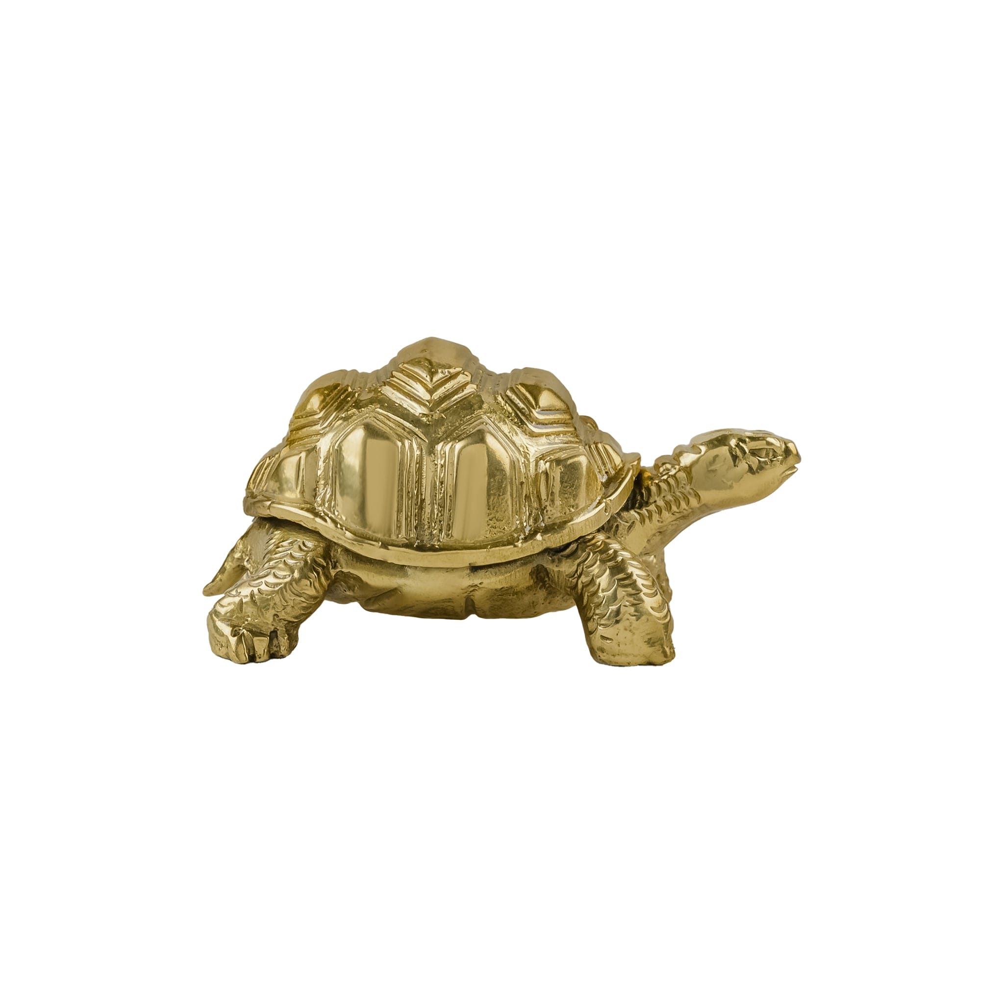 Handcrafted Brass Tortoise Paperweight – Decorative Desk Accent