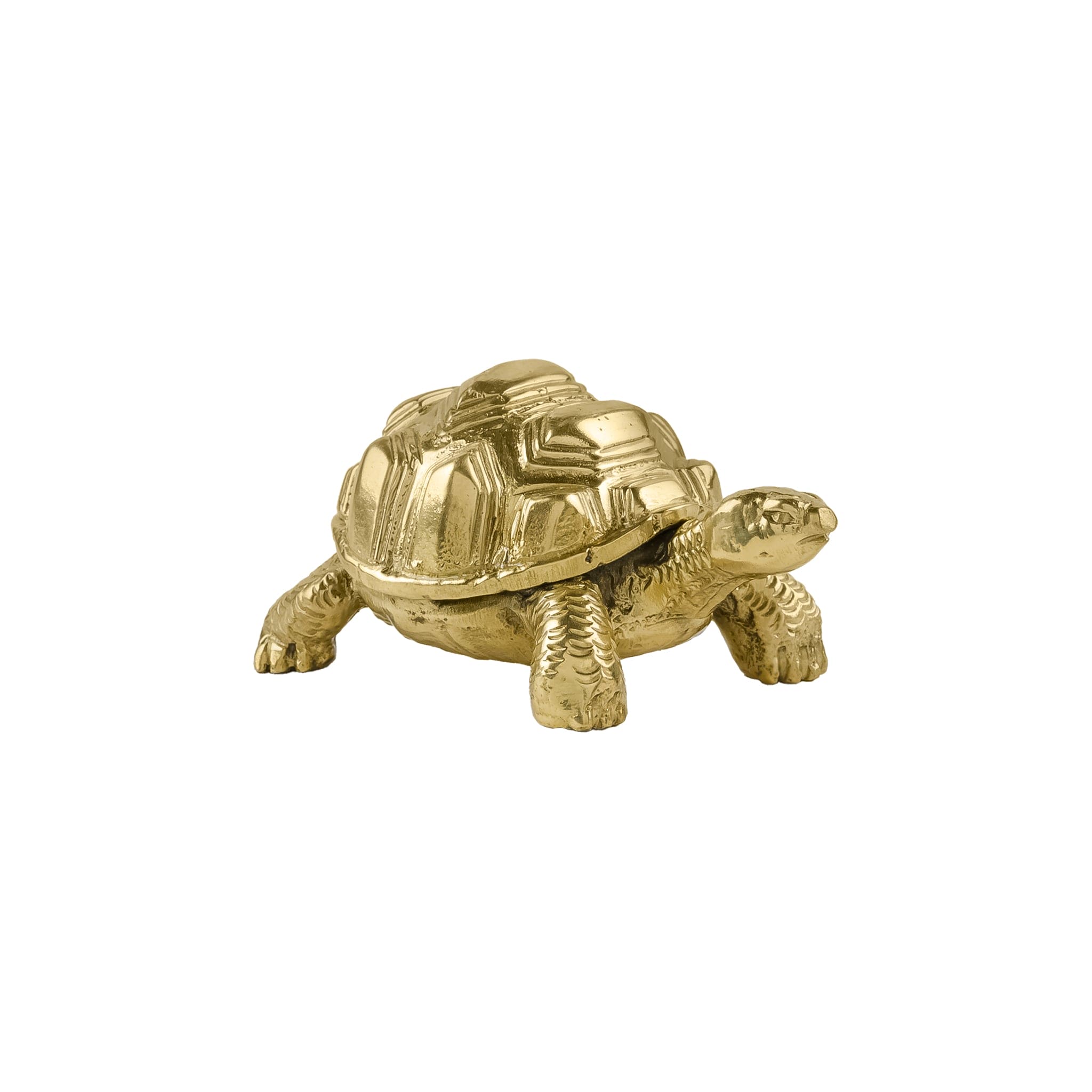 Handcrafted Brass Tortoise Paperweight – Decorative Desk Accent