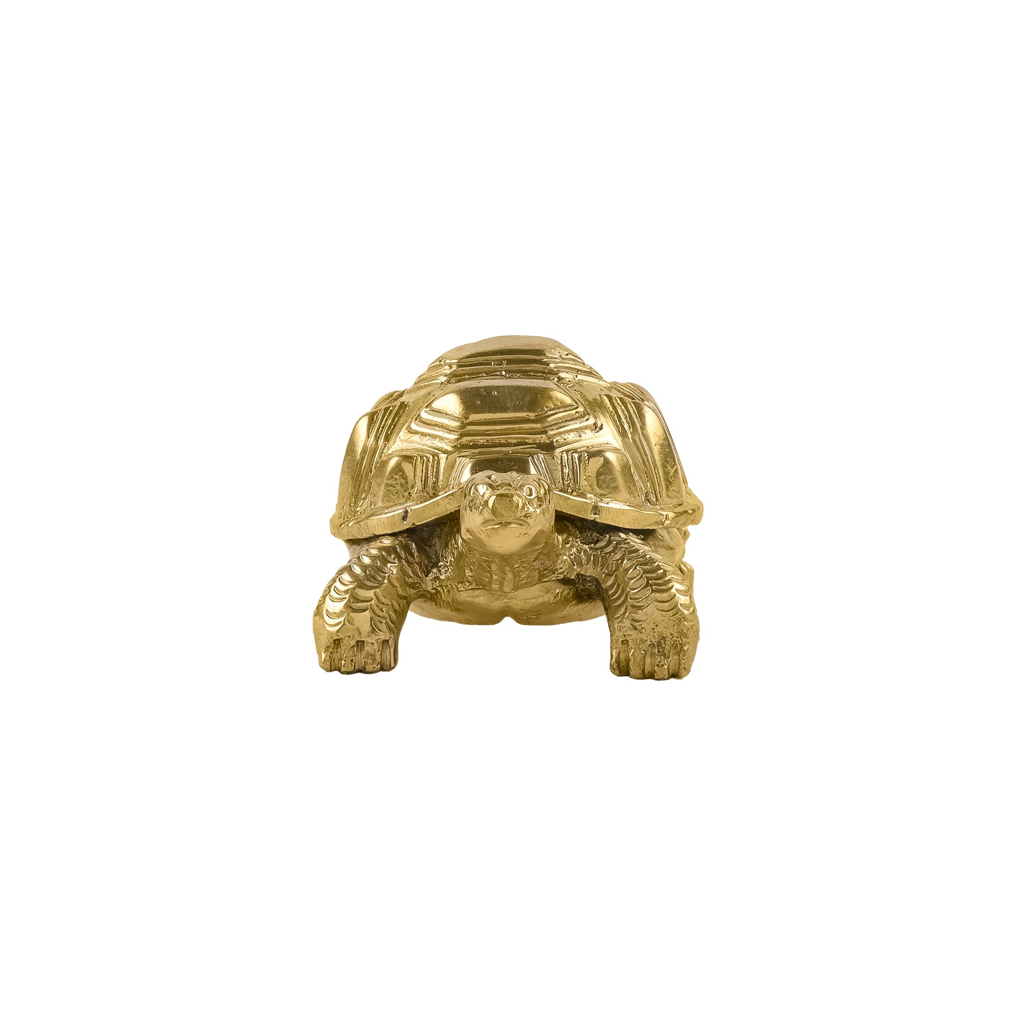 Handcrafted Brass Tortoise Paperweight – Decorative Desk Accent