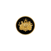 Sirohi Clan Gold Plated Black Buttons