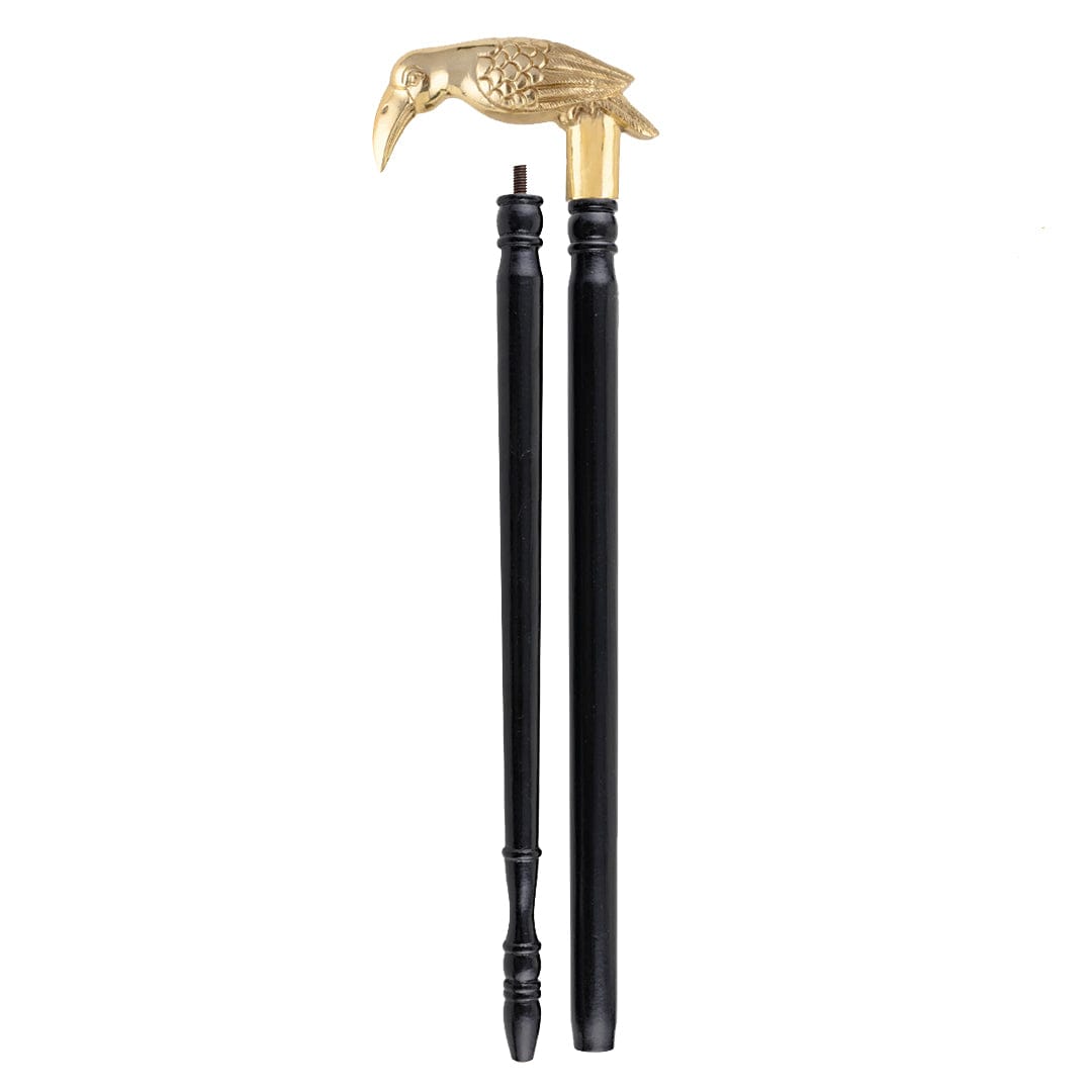 The Toucan Brass-Embellished Handcrafted Walking Stick Online | premium walking sticks | JRT Handicrafts